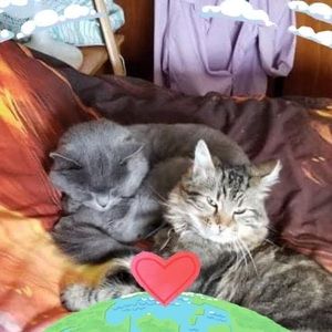 Meet your Posher, Monique